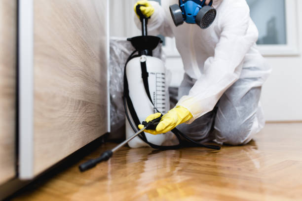 Best Local Pest Control Services  in Eagle Point, OR