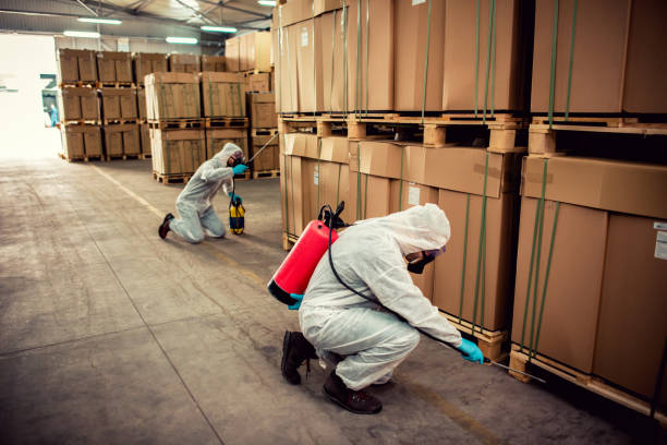 Best Emergency Pest Control  in Eagle Point, OR