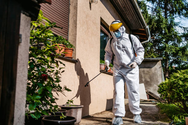 Best Affordable Pest Control Services  in Eagle Point, OR