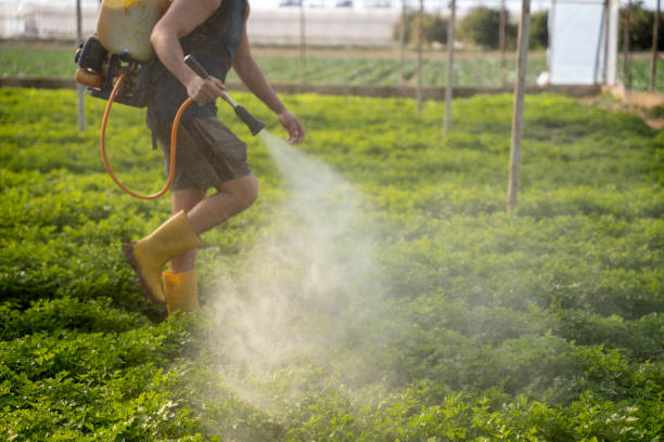 Best Pest Prevention Services  in Eagle Point, OR