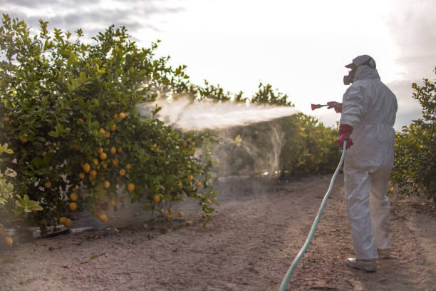 Best Commercial Pest Control Services  in Eagle Point, OR